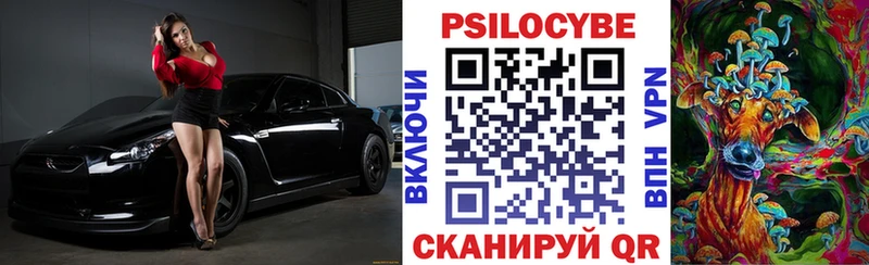 Псилоцибиновые грибы мицелий Пущино